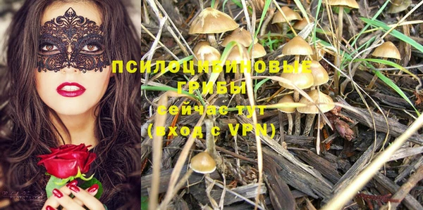 соль курить ск Рославль