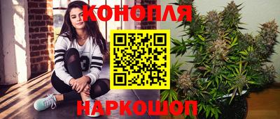 прущие грибы Ирбит
