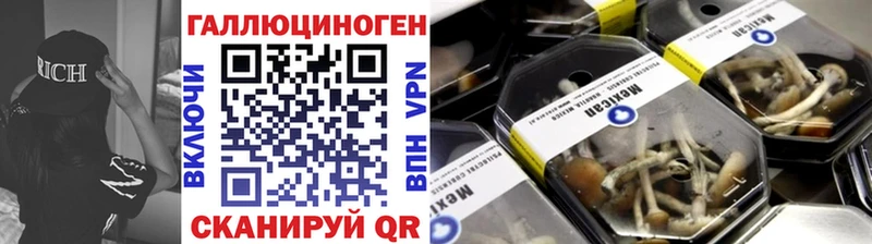 где продают наркотики  Мирный  Псилоцибиновые грибы Magic Shrooms 