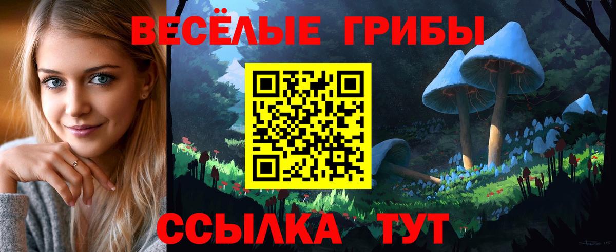 Галлюциногенные грибы Psilocybine cubensis  Псилоцибиновые грибы мухоморы  Мирный  Вход с VPN 