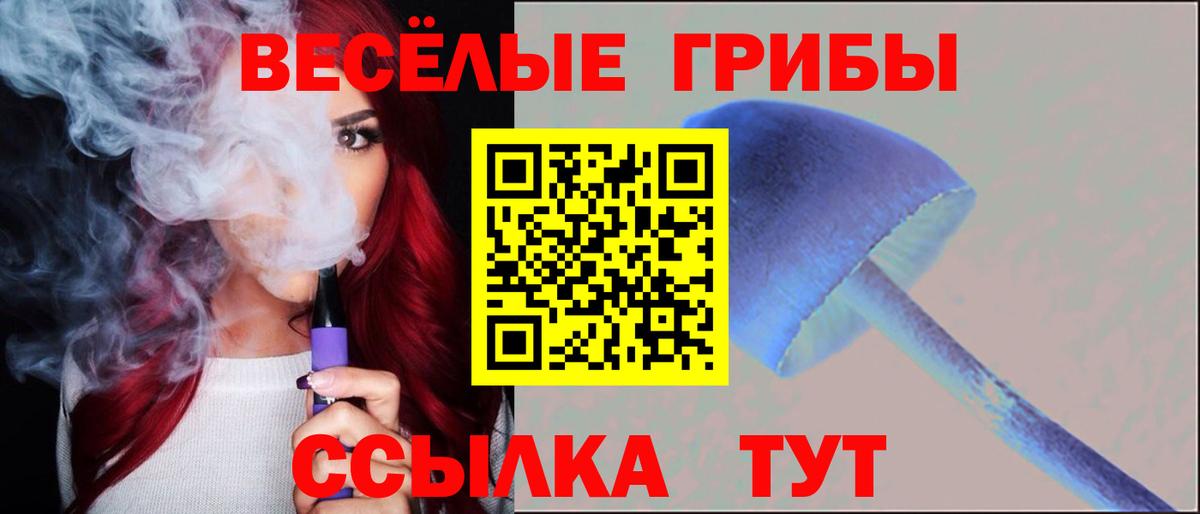 Галлюциногенные грибы Psilocybine cubensis Мирный