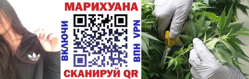 Марихуана планчик сколько стоит Мирный